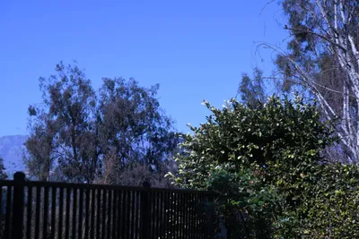 DSC_0716 (Large).JPG